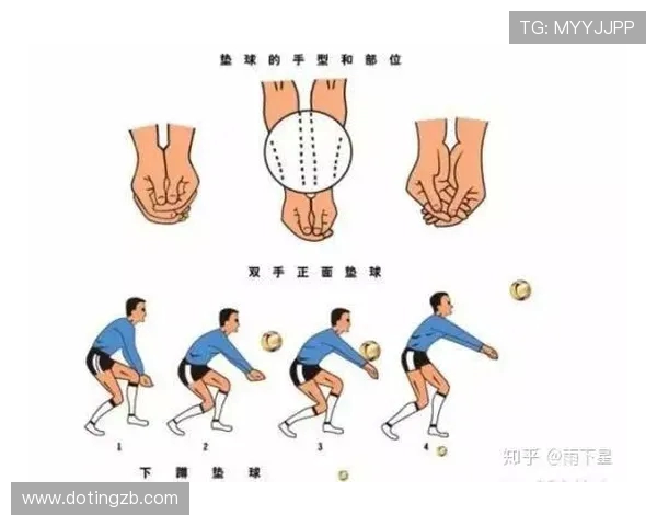 排球新手必看：提升耐力的全面训练与技巧指南