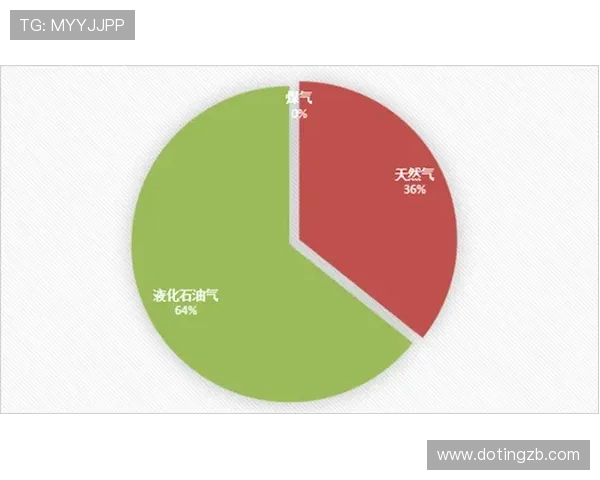 数据分析:液化天然气市场表现及其影响因素探讨 数据分析:液化天然气市场表现及其影响因素探讨