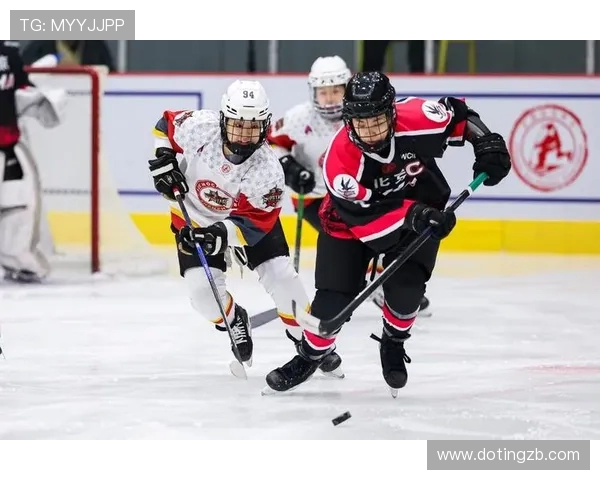 深圳篮球队总决赛之路：从艰辛奋斗到荣耀巅峰的传奇故事