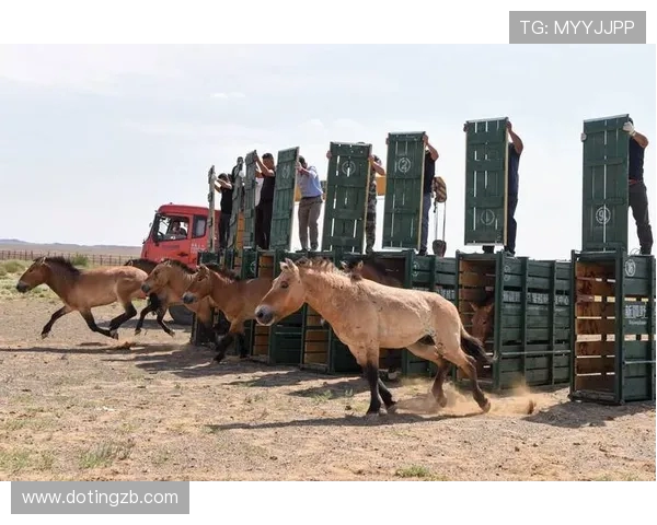 重庆滑板队在攀岩联赛中的奋斗与突破之路全景回顾