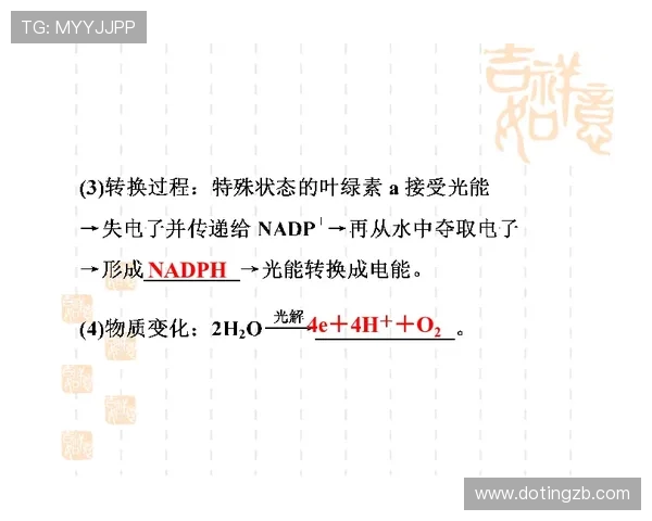 赛后分析：JDG与BLG在团队协作中的优劣势对比与启示