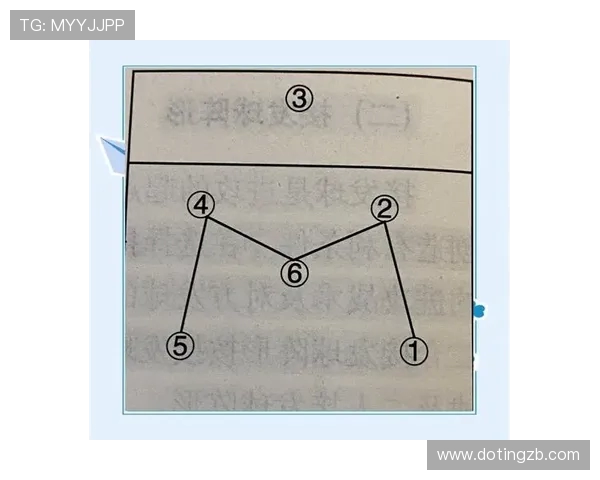 南京排球队在冠军赛中的战术运用与表现分析 南京排球队在冠军赛中的战术运用与表现分析